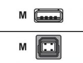 C�ble USB - USB � 4 broches, type A (M) - USB � 4 broches, type B (M) - 1.8 m